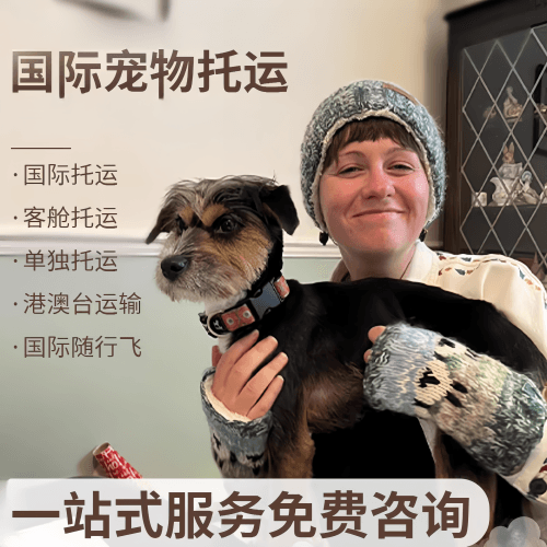 通辽市国际宠物托运到阿根廷宠物入境规定和要