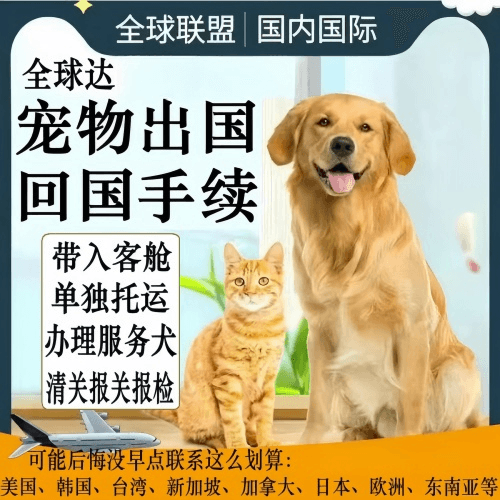 通辽市宠物托运到柬埔寨宠物入境规定和要求