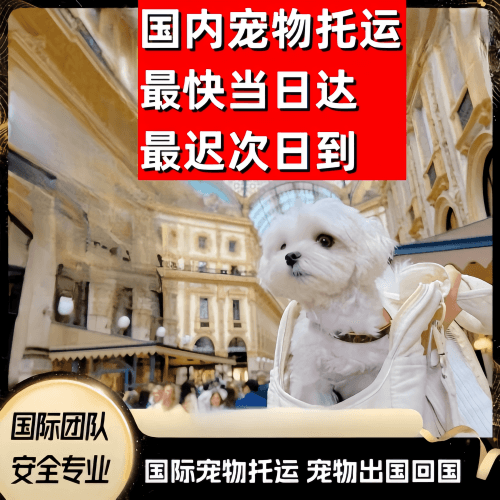 通辽市到澳大利亚（澳洲）宠物入境规定和要求